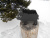 DSCN0012 (1)